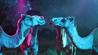 المهراس | Al-Mihras - Marya Mayan (Official Music Video)