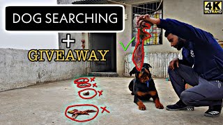 Training your dog advance searching / Sniffing / Find hidden things 4K HINDI screenshot 4