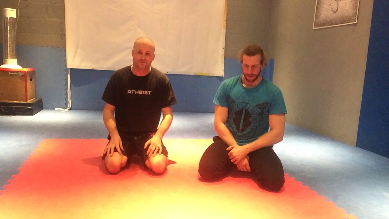 Behind back/hammer lock guard pass