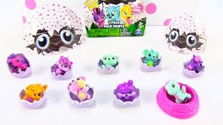 Set of New Hatchimals CollEGGtibles - Blind Bags, Double and Four Pack