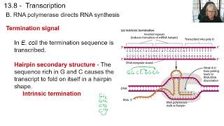 Genetics Ch13 part 2