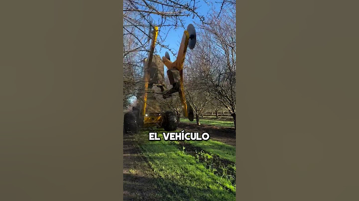Este Tipo Conduce un Gran Vehículo, Pero... ❤️