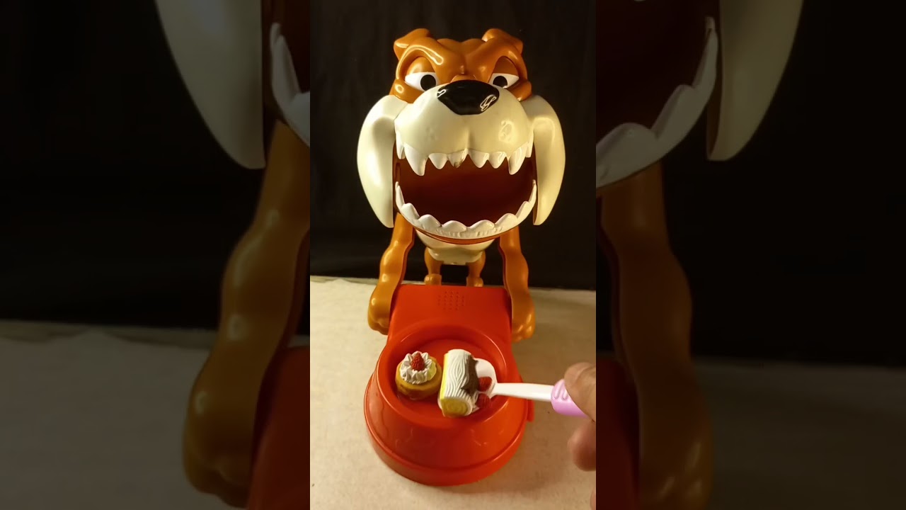 MAD DOG FEEDING A MINI CAKE