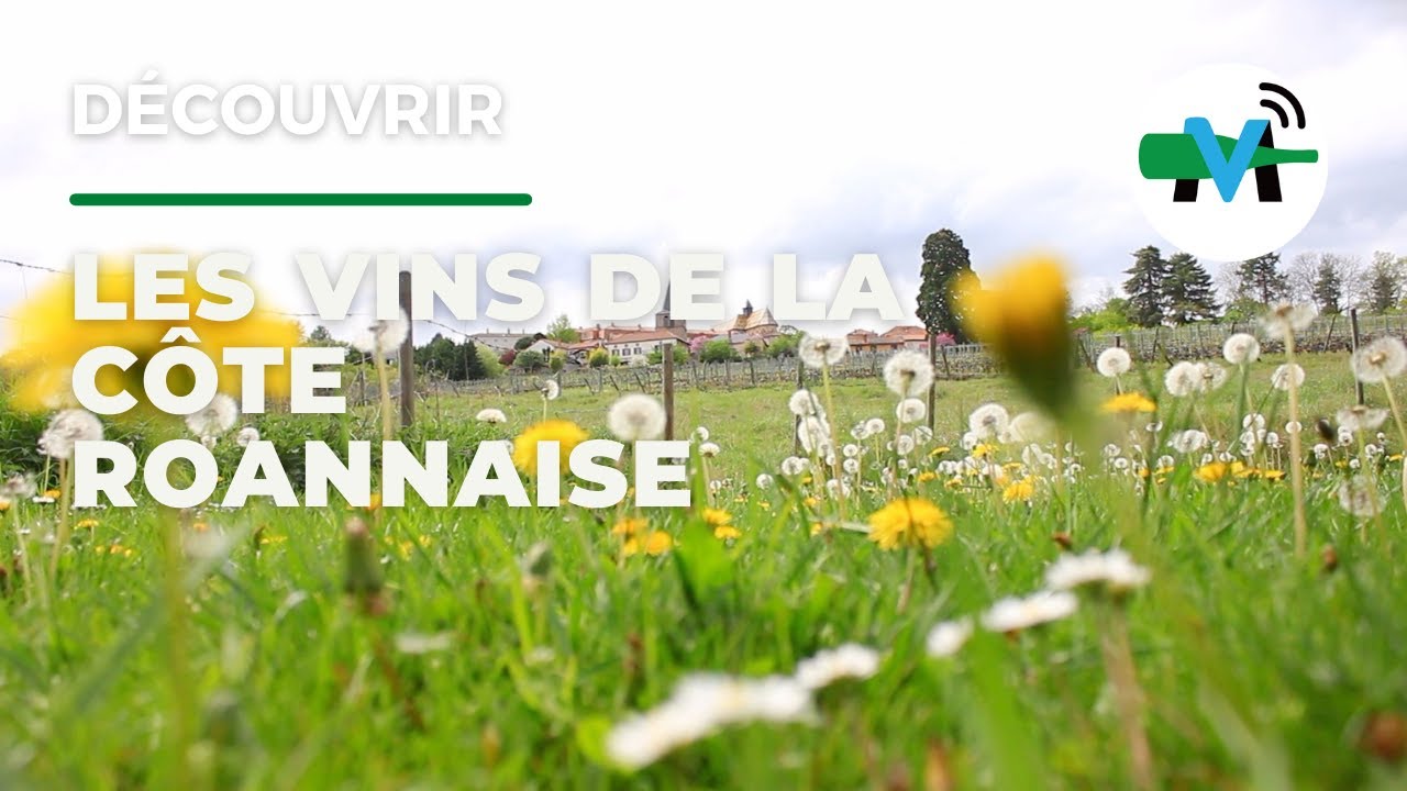 découvrir, la côte Roannaise