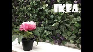ВЕСНА в ИКЕА / Офелия