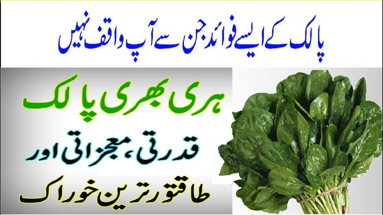 Palak Ke Fayde \ Spinach Health Benefits \ Spinach Nutrition Facts