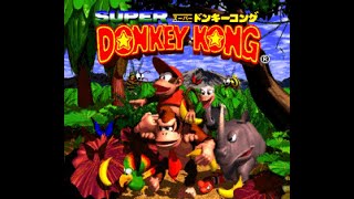 Kaizo Donkey Kong Country (DKC Hack) - Longplay