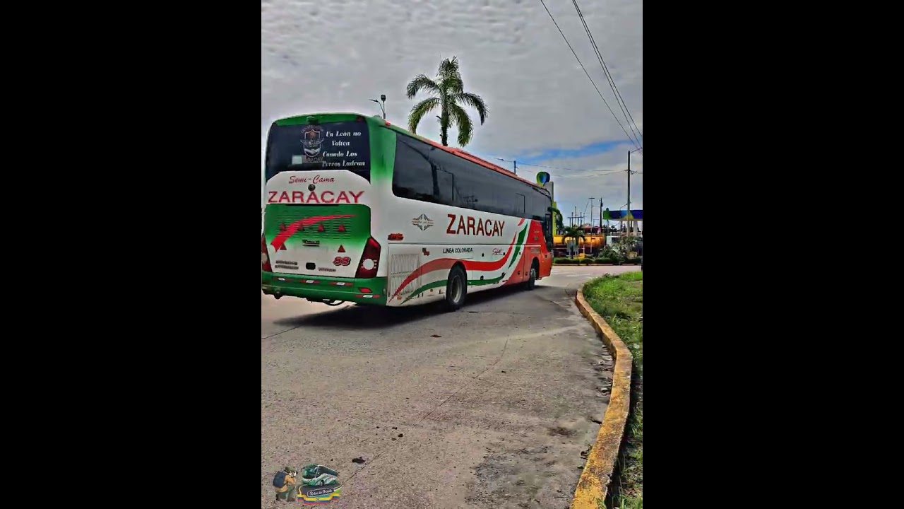Buses Ecuador 🇪🇨🚍🔥