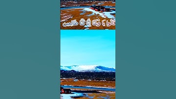 سورة الأنبياء و..كا.نك تسمعها لأ،،و.ل مر.ة🌷🌼؛،🌹🏵️..🌺❤️💘بصوت الشيخ حمزة مدبو.ح💚🍃💕،.❤️💗؛؛💖❤️،🏵️