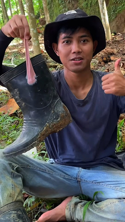 Jebakan burung dari permen karet😨#056 #petualangan #pulutburung