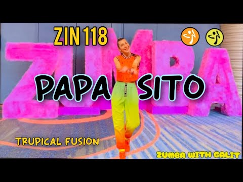 ZUMBA®︎ DVD ZIN115 ZIN116 ZIN117 ZIN118 Zin Zumba Instructor Network: CD & DVD Combo Includes Mega