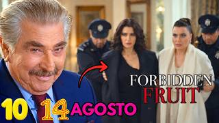 😨'NOW I'M IN CHARGE..' THE DECEPTION THAT DESTROYS ENDER AND SAHIKA..FORBIDDEN FRUIT AUGUST 10 - 14 😨'NOW I'M IN CHARGE..' THE DECEPTION THAT DESTROYS ENDER AND SAHIKA..FORBIDDEN FRUIT AUGUST 10 - 14