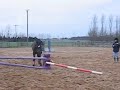 Deanna on lunge jumping