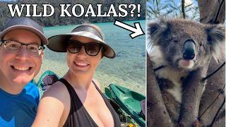We Found Wild Koalas in Australia! (Kayaking + Raymond Island)