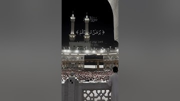 سورة النساء الآية 174 #اكسبلور #المصحف #القزابري #دويتو #قرآن #راحة_نفسية #duet #الرحمن