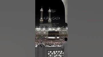 سورة النساء الآية 174 #اكسبلور #المصحف #القزابري #دويتو #قرآن #راحة_نفسية #duet #الرحمن