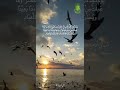 Denya Islam #shortvideo #shortyoutube #quran #islamicshorts‌