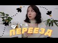 чай без сахара #5: почему я не уезжаю из России? уезжать или нет? открытие границ с Кореей