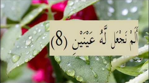 القران الكريم سورة البلد الاية 8