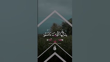 😴القارئ عبدالرحمن احمد🖤☁