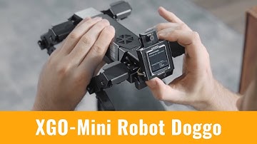 Learn about Robotics with the New XGO-Mini from Luwu