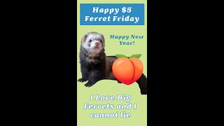 The Last Five Dollar Ferret Friday of the Year. I hope all your ferrets are fat and healthy. by LegalizeFerrets.org 126 views 5 months ago 1 minute, 12 seconds