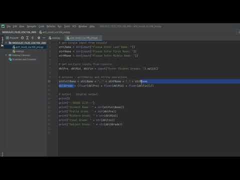 Python Console Inputs
