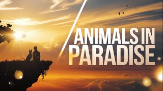 Will You See Your Pets in Heaven? Here’s What the Bible Says!
