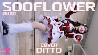 Ditto Cover Sooflower 수련수련 251221