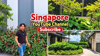 The view from above in Singapore is truly magnificent—a sight to behold like a precious gem Explore