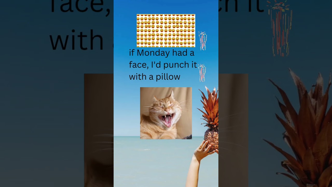 THE MONDAY MORNING FEELING 