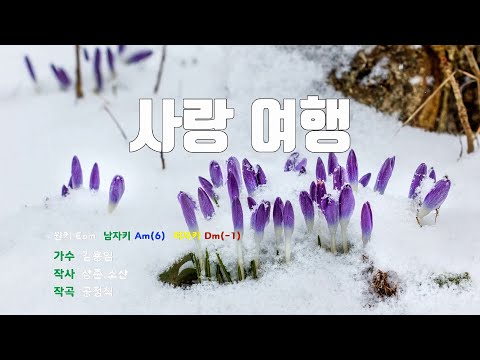 [은성 반주기] 사랑여행 - 김용임