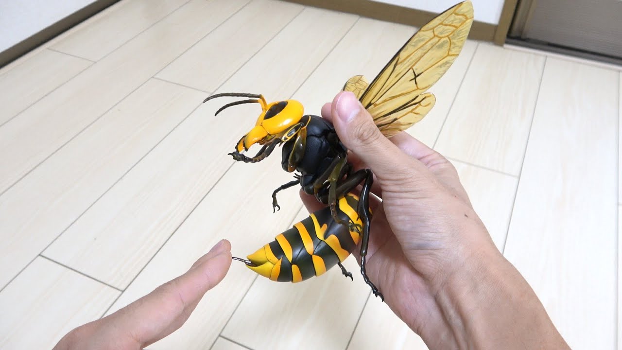 異常に巨大なオオスズメバチに刺されてみた Youtube