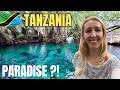 I Found Paradise In Tanzania Chemka Hot Springs 
