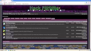 Hackforums.net (Silver)