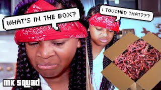 WHAT'S IN THE BOX CHALLENGE (GONE WRONG)