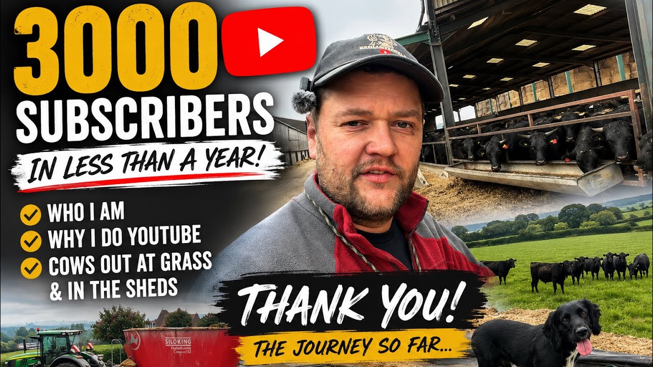 3K less than a year!! Farm YouTuber … and the rest 😍 - YouTube