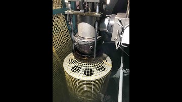 plastic square mesh machine (reciprocating die head)
