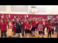 Bemus point elementary 2015 dance mob