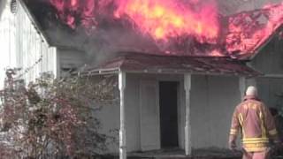Contego Intumescent Paint: Control Burn Test