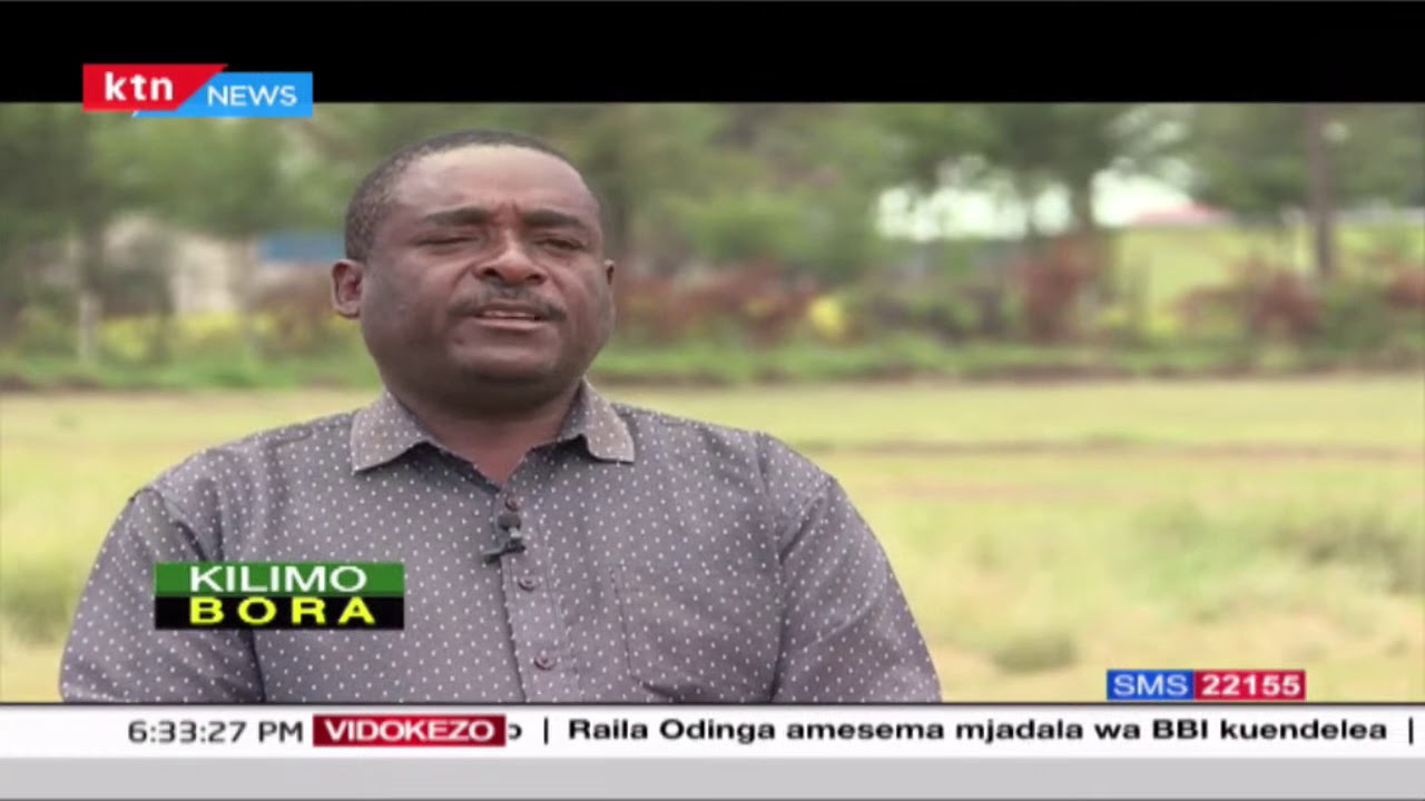 Kilimo Bora: Kilimo cha viazi katika kaunti ya Nyandarua | Sehemu ya Kwanza