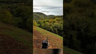 Two Perfect Hits  Unforgettable Deer Hunt#DeerHunting#Wildlife #Hunting #nature