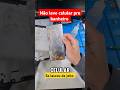 Não leve celular pro banheiro #shorts #samsung #apple #shortvideo #iphonexr #fy #fyp #fypp #short