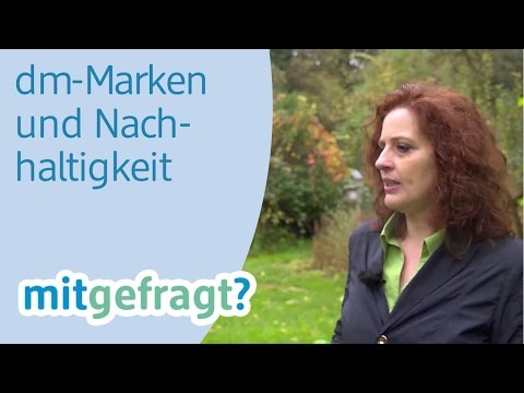 Dm Fotokalender Fotobucher Bedruckte Tassen Heute Im Dm Foto Paradies Dm Mitgefragt Folge 7 Youtube