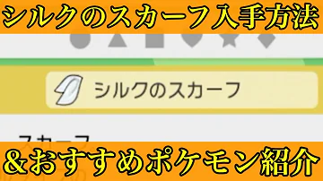 ダイパスカーフ