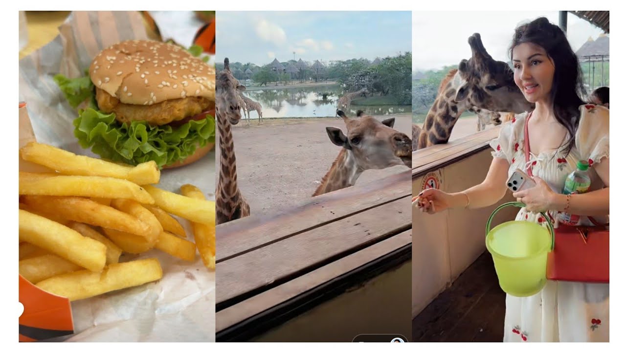 نور وعصام 🥰 رايحين نفطر  ونكمل الفعاليات ونطعمي الزرافة 