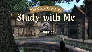 Study with Me in Oblivion | The Great Oak Tree in Chorrol