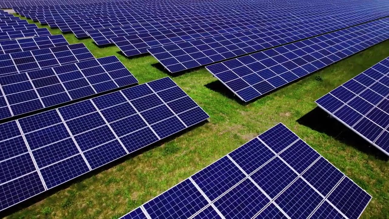 The Dual Harvest: Maximizing Land Water, and Profit with Agrivoltaics