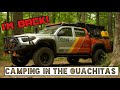 IM BACK!!!! CAMPING IN THE OUACHITAS!! I have missed the woods so much.