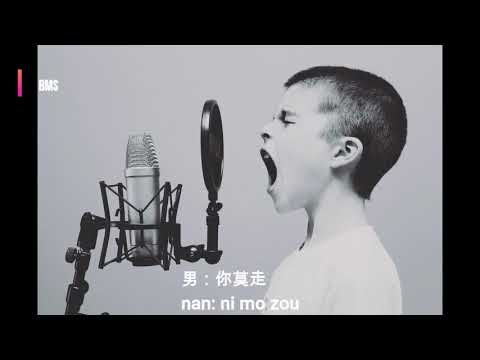 你莫走/ ni mo zou - 山水组合/ shan shui zu he (karaoke version with pinyin lyrics)